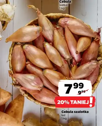 Netto Cebula szalotka oferta