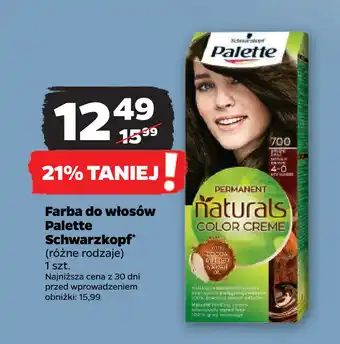 Netto Farba do włosów palette schwarzkopf oferta