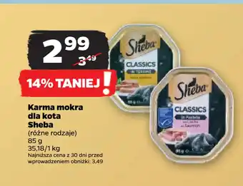 Netto Karma mokra dla kota sheba oferta