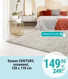 Biedronka Dywan oferta