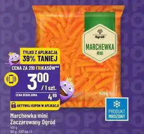 Polomarket Marchewka zaczarowany ogród oferta