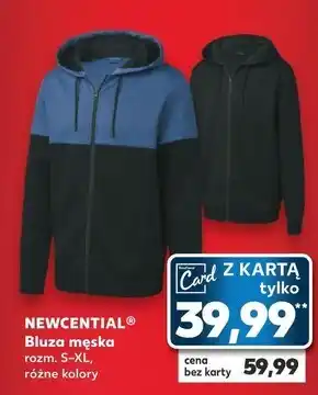 Kaufland Bluza męska newcential oferta