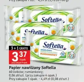 Stokrotka Optima Papier toaletowy softella oferta