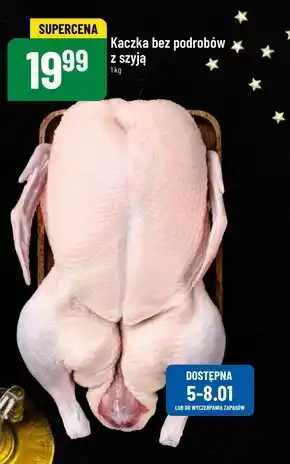 Polomarket Kaczka oferta