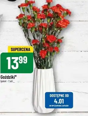 Polomarket Goździki oferta