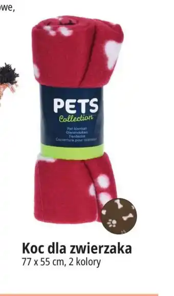 E.Leclerc Koc dla zwierzaka 77 x 55 cm oferta