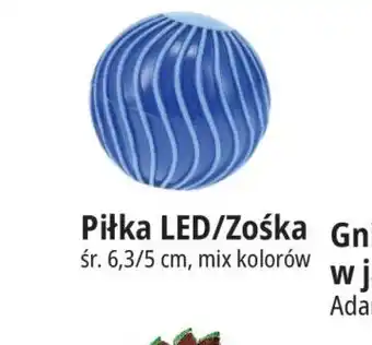 E.Leclerc Piłka LED/Zośka oferta