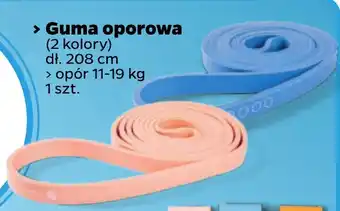 Netto Guma oporowa oferta