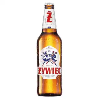 Żabka Żywiec piwo jasne 500 ml oferta