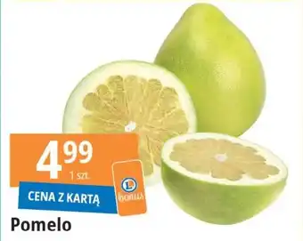E.Leclerc Pomelo oferta