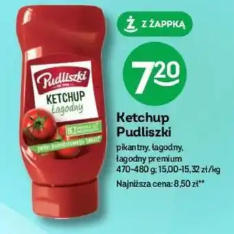 Żabka Ketchup Pudliszki 470-480g oferta