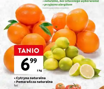 Intermarche Cytryna naturalna / Pomarańcza naturalna 1 kg oferta