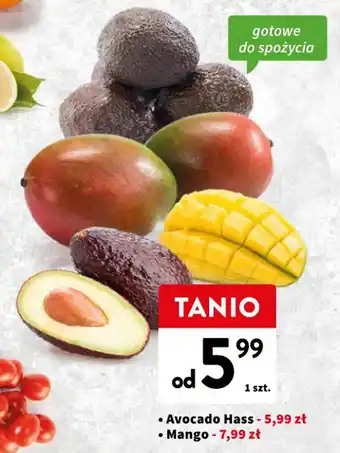 Intermarche Avocado Hass 1 szt. oferta