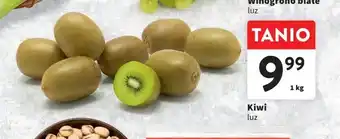 Intermarche Kiwi 1kg oferta