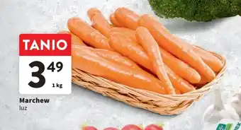 Intermarche Marchew 1kg oferta