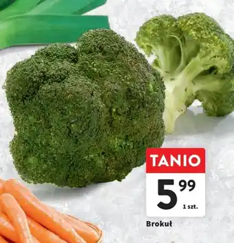 Intermarche Brokuł 1 szt. oferta