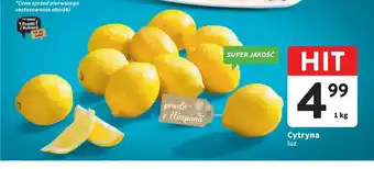 Intermarche Cytryna 1kg oferta