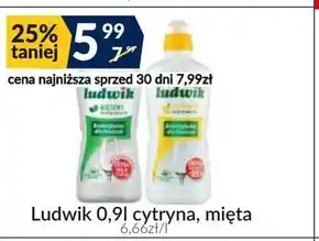 Sużyw Ludwik płyn do naczyń miętowy 900 g oferta