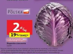 Auchan Kapusta czerwona oferta