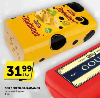 Groszek SER SERENADA RADAMER 1 kg oferta