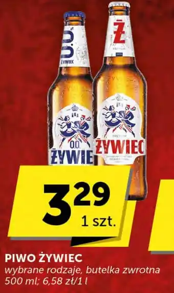 Groszek PIWO ŻYWIEC 500 ml oferta