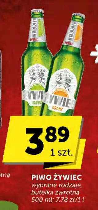 Groszek PIWO ŻYWIEC 500 ml oferta