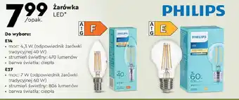 Biedronka PHILIPS żarówka LED oferta