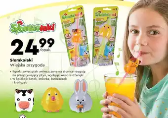 Biedronka Słomkołaki Wiejska przygoda oferta