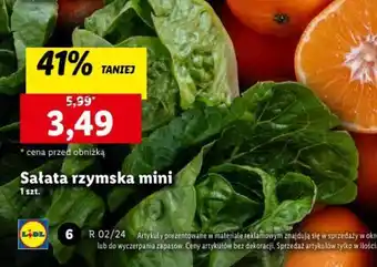 Lidl Sałata rzymska mini oferta
