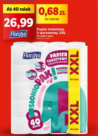 Lidl Floralys Papier toaletowy 3-warstwowy, XXL 40 rolek oferta