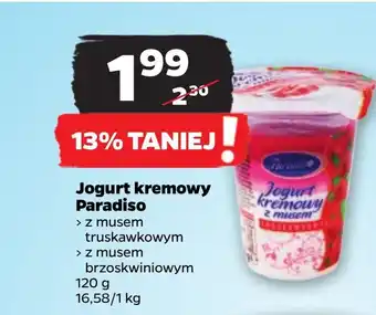 Netto Jogurt paradiso oferta
