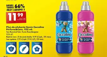 Biedronka Płyn do płukania tkanin Coccolino Perfume&Care, 925 ml oferta