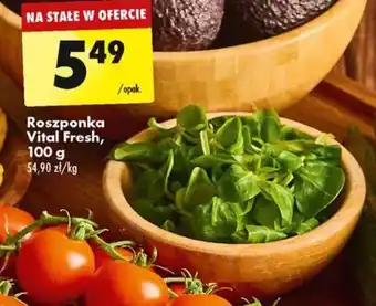 Biedronka Roszponka Vital Fresh, 100 g oferta