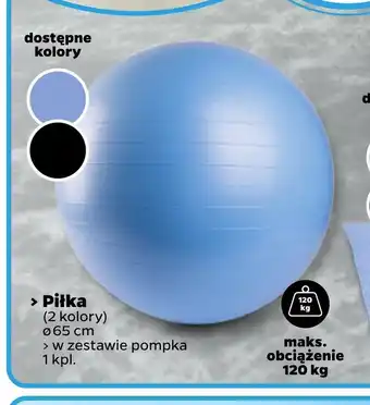 Netto Piłka fitness oferta