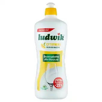 Delikatesy Centrum Ludwik płyn do naczyń cytrynowy 900 g oferta