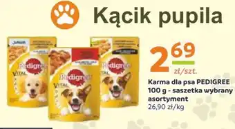 Gama Karma dla psa pedigree oferta