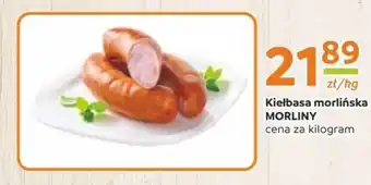 Gama Kiełbasa morliny oferta