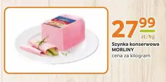 Gama Szynka morliny oferta