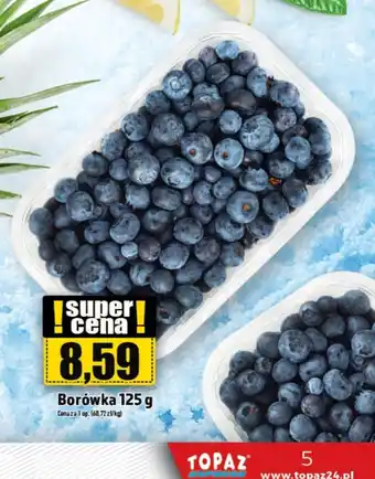 Topaz Borówki oferta