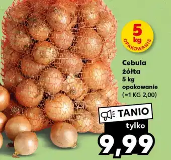 Kaufland Cebula oferta