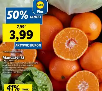 Lidl Mandarynki lidl oferta