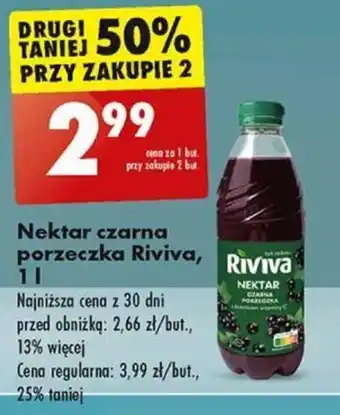 Biedronka Nektar czarna porzeczka Riviva, 1 L oferta