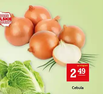 Cebula 1 kg