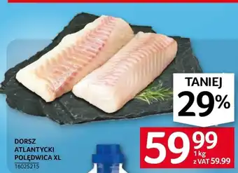 Selgros Dorsz oferta