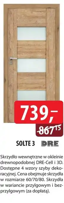 DDD Skrzydło drzwiowe dre oferta