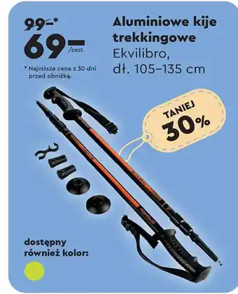 Kije trekkingowe