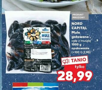NORD CAPITAL Mule gotowane