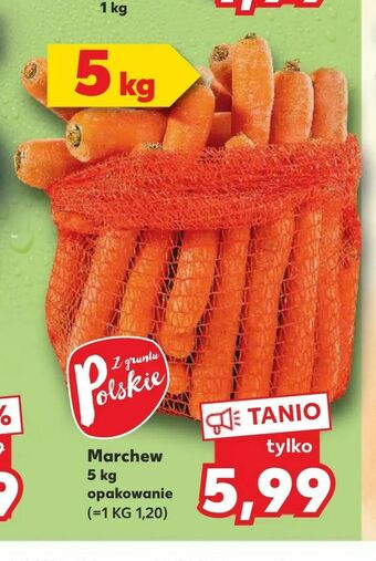 Kaufland Marchew oferta