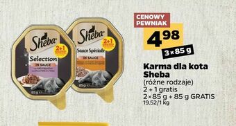 Netto Karma dla kota Sheba oferta