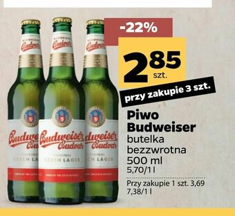 Netto Piwo Budweiser oferta